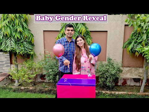 Our Official Baby Gender Reveal l Life With Umair