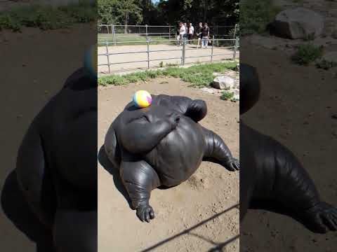 What did I see at the zoo?#horror #creepy #seaartai #seaartist #animals #pov #zoo #tiktok #monster
