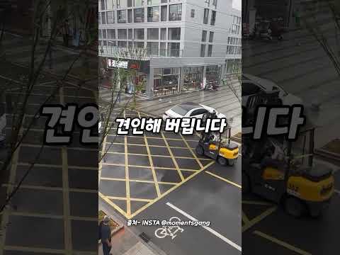 국내 도입이 시급합니다