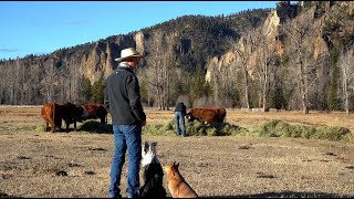 Youth Fellowship Film: IT'S HARD TO KILL A COWBOY FINAL