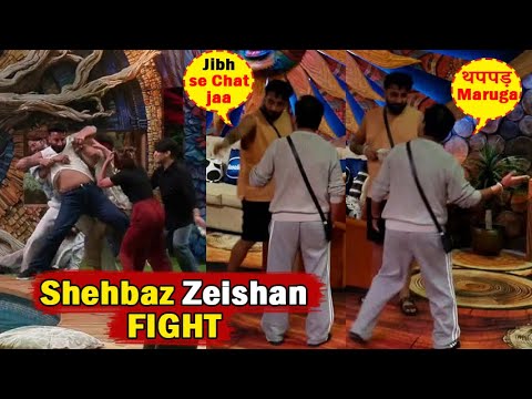 Bigg Boss 19 Today Episode Promo Double Eviction Mridul and Neelam BB19