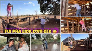 AJUDEI MARIDO NA LIDA DE HOJE| ESTREANDO O CURRAL DEPOIS DA REFORMA| PESANDO E EMBARCANDO O GADO 🤠