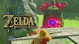 5년의 기억을 다시 살려보자 [젤다의 전설 야생의 숨결 The Legend of Zelda: BOTW 1일차]