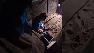A Castel Volturno lo spettacolo notturno della schiusa dei nidi di Caretta Caretta