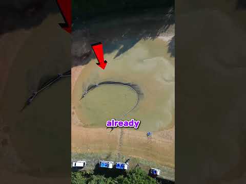 Catch all the fish in one time๐คฏ