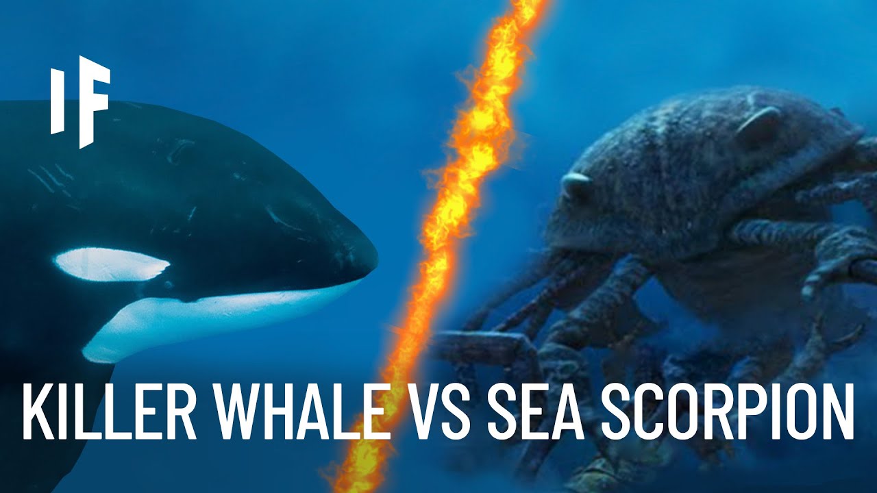 What If a Giant Sea Scorpion Fought a Killer Whale?