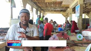 Sare u kac aad u xooggan oo ku yimid Qiimaha kaluunka Muqdisho