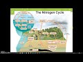 Exploring Biogeochemical Cycles