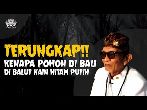 TERUNGKAP!! MISTERI KENAPA DI BALI POHON DI BALUT KAIN HITAM DAN PUTIH - EYANG JATI