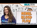 Kidney Function and Blood Flow