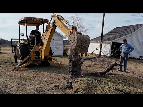 John Deere 110 Backhoe TAKES DOWN Trees with EASE, Christy's Dad Joins Project