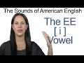 Understanding the 'e' Sound in English