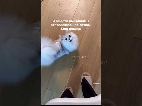 РИОЛИС @theRIOLIS