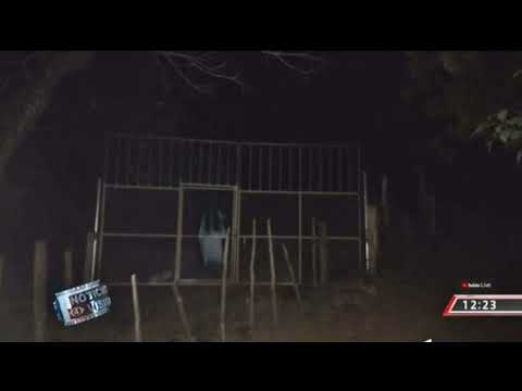 TOP VIDEOS DE TERROR 2025