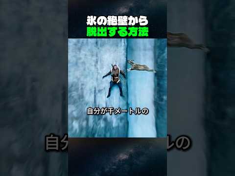 【爆笑】崖をヤギみたいに登ったら...本物に頭突きされた件