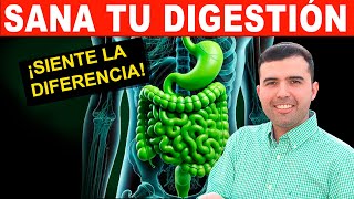 🔥Cómo Reparar tu Digestión, Estómago Y Colon Paso a Paso