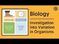 Data Collection and Analysis Concepts