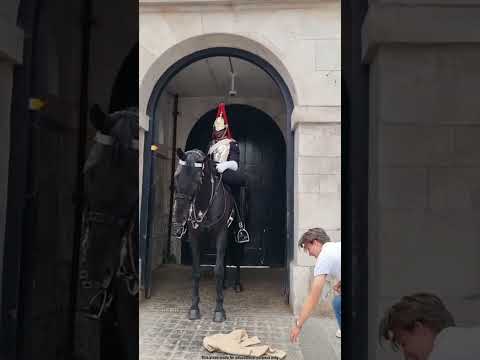 This Horse Showed Kindness 😱 #viralvideo #shortvideo #new #facts