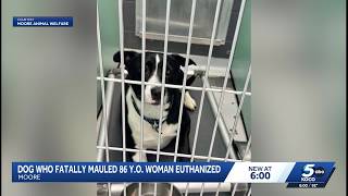 YouTube video thumbnail: 86-Year-old Woman Killed While Watching dog at Moore Home, Family Says it had Attacked Before