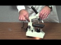 Exploring Microscope Techniques