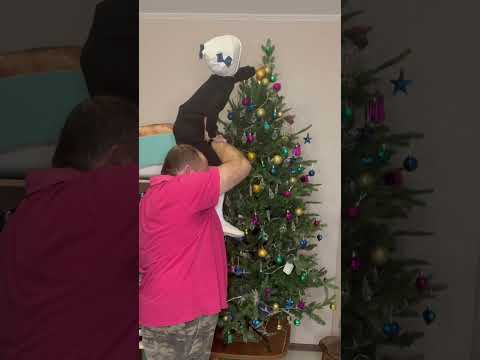 🎄ДОББИ НАРЯЖАЕТ ЁЛКУ. ПОЗДАВЛЯЕТ ВСЕХ🎄 #добби#сНовымГодом#прощай2022