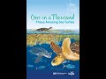 Sea Turtle Biology and Behavior