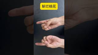 #道家手印 斩烂桃花，招正桃花 Attract a Healthy Relationship