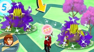 🤯 Level 5 Trainer Got shiny shadow Groudon ✨ in very first raid 