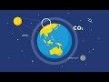 Climate Change Awareness and Actions