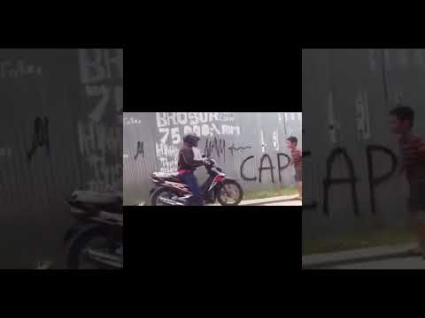 Paparock pas masih keciL