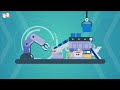 Economic Development Policies of China