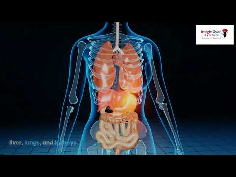 InsightGyan Institute YouTube video thumbnail
