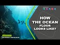 Ocean Floor Features and Measurements