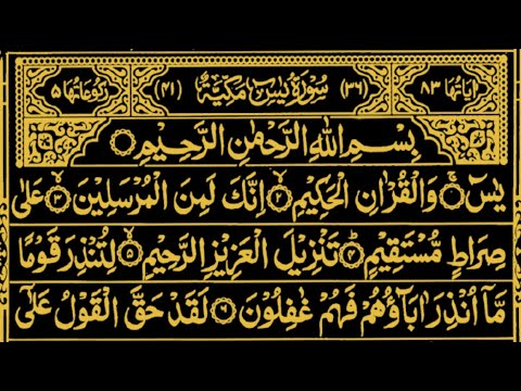 Surah Yaseen Surah Rahman || Quran Recitation l Daily Quran Tilawat | Quran Tilawat l Episode 30