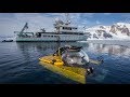 Exploring the Antarctic Ecosystem