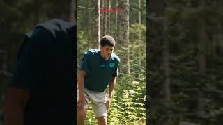 Wartet auf mich! 🐃🐾🦌