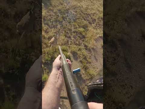 ?Hunting For The Worlds Biggest Antelope