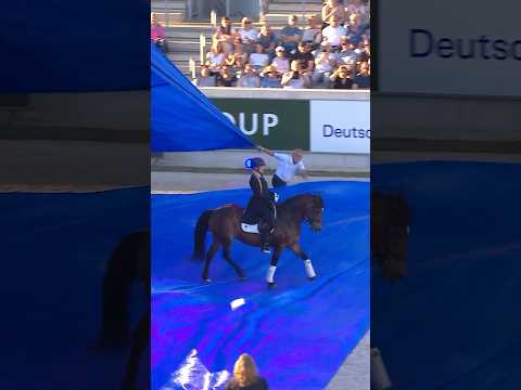 It’s about trust 🤝 We have the bravest horses at the Aachen Soers! 😍🐴 #pferdundsinfonie #horses