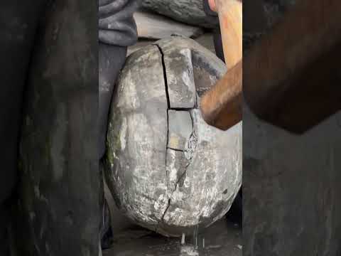 Find fossils in large rocks #fossil  #rock  #viral  #gem  #geology  #crystal  #shorts