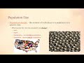 Population Dynamics and Ecology Concepts