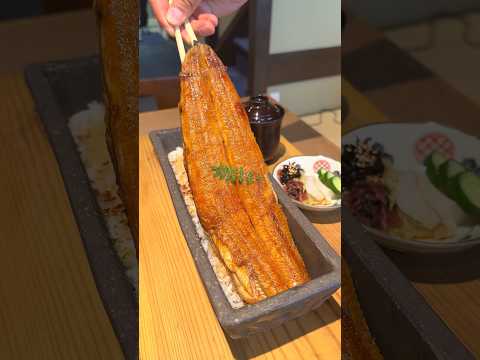 鰻を1匹豪快に盛った鰻重！