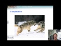 Population Dynamics and Limiting Factors