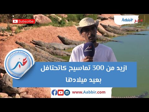 ازيد من 300 تماسيح كاتحتافل بعيد ميلادها 10 سنوات بحدقة كروكو بارك باكادير التفاصيل في الفيديو