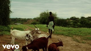 Timbaland - Lion's Roar (OFFICIAL VISUALIZER)