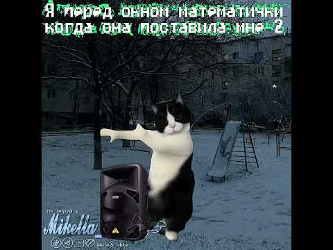 𐙚🌚#умаляюзалети #cat #активнепадай #рек #teameork #микелла #мем #активприди #активвернись #Ыы #ت #хз