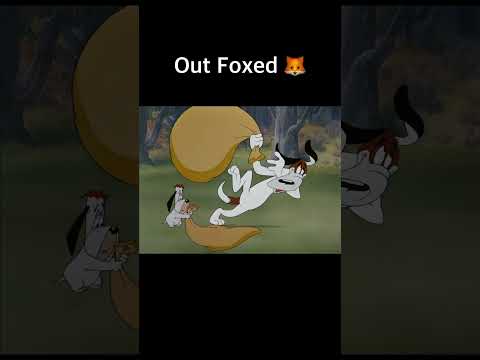 Out Foxed ? #shorts #cartoon #explained #animation