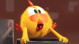 Where's Chicky? | The Magic Instrument | A Xilam Series | Xilam TV