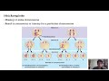 Gene Mutations and Chromosomal Changes