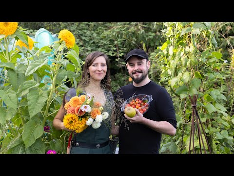 September 2024 - Harvesting beans, tomatoes and apples on my birthday!