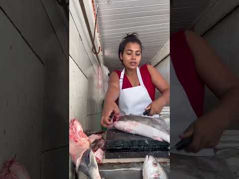 Cortando uma piramutaba pra cozinhar, veja como é rápido e fácil #peixaria